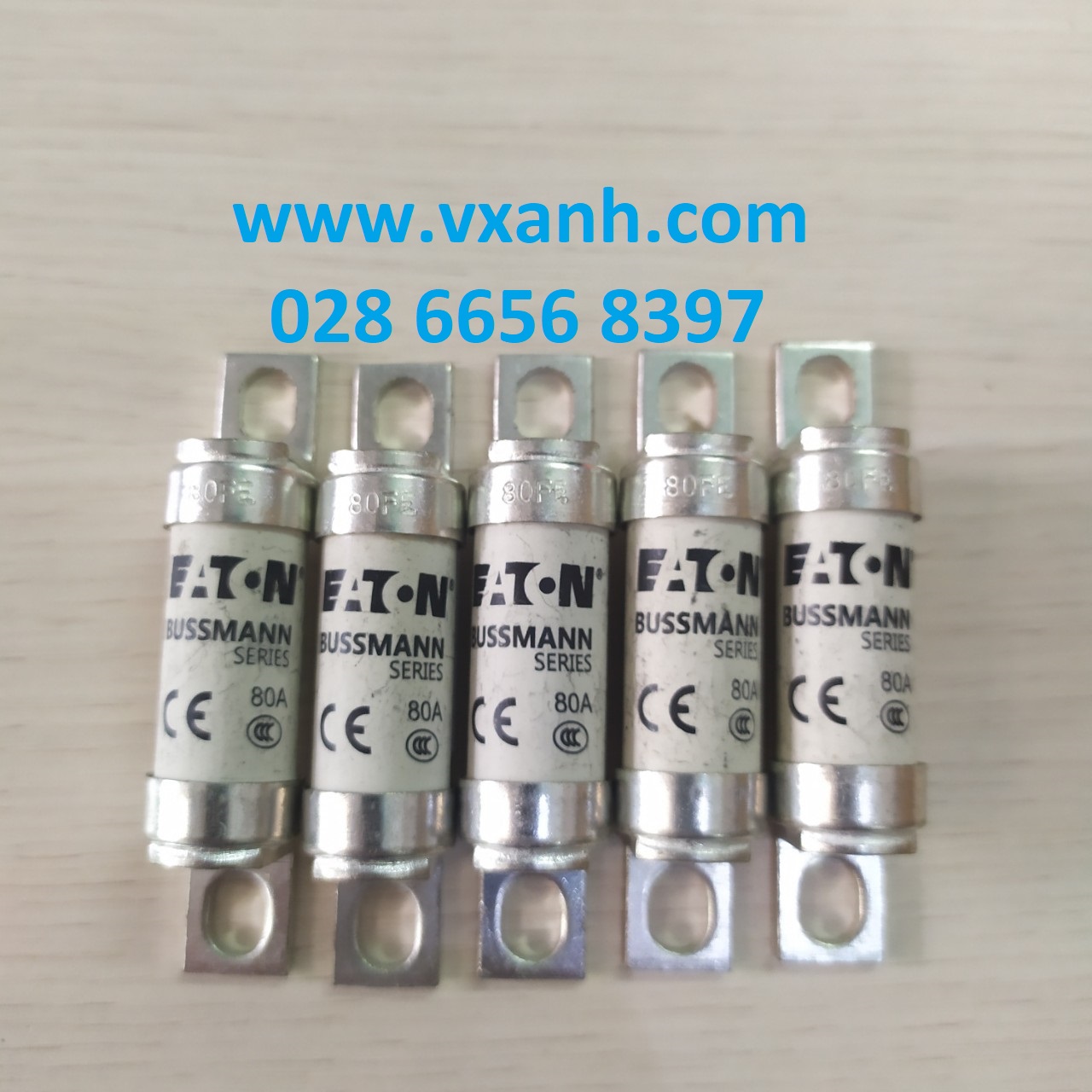 Công ty TNHH V Xanh