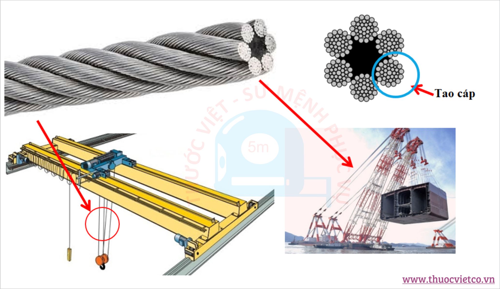 Công ty TNHH kỹ thuật Thước Việt