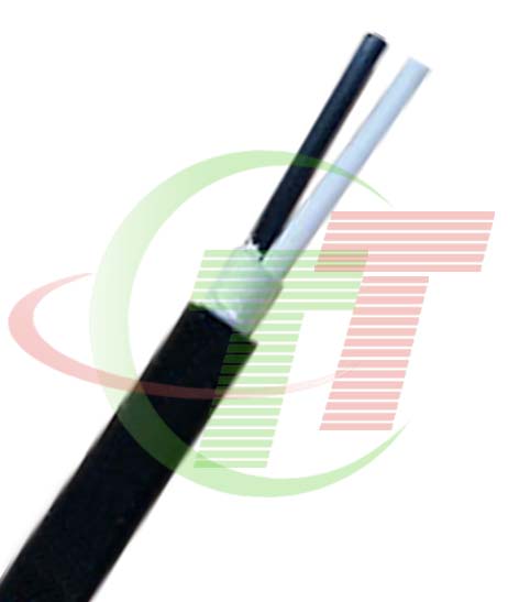 Công ty TNHH kỹ thuật điện Thuận Thiên