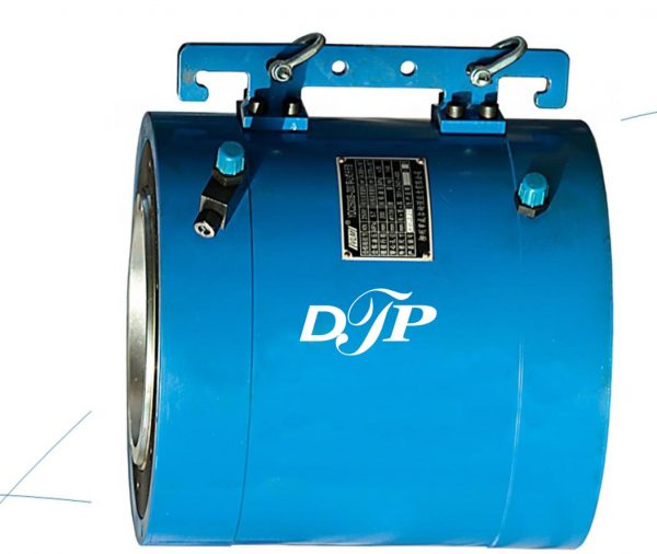 Công ty TNHH Đại Thịnh Phát Việt Nam