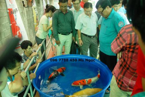 Công ty TNHH XNK Phước Đạt