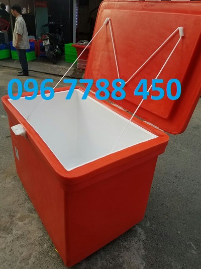 Thùng lạnh 200 lít ướp hải sản