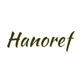 Công ty TNHH vật liệu chịu lửa Hanoref