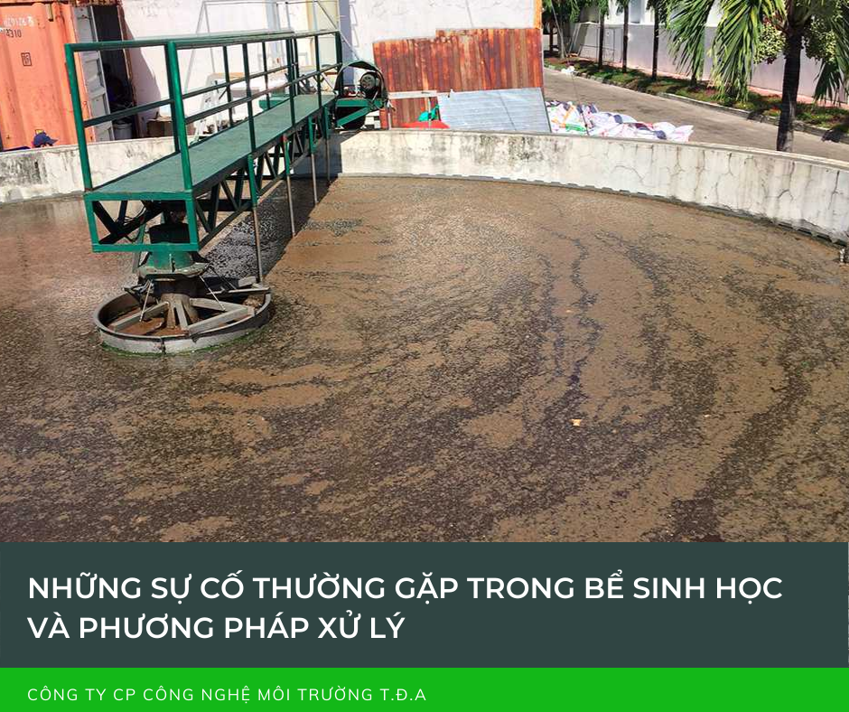 Những sự cố thường gặp trong bể sinh học và phương pháp xử lý