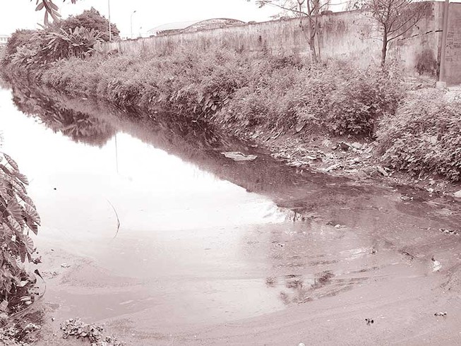 Nguồn ô nhiễm vây kín các sông cấp nước ngọt ở Hải Phòng
