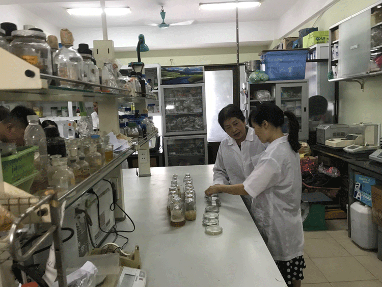 Xử lý rác thải ni lông bằng công nghệ sinh học made in Việt Nam
