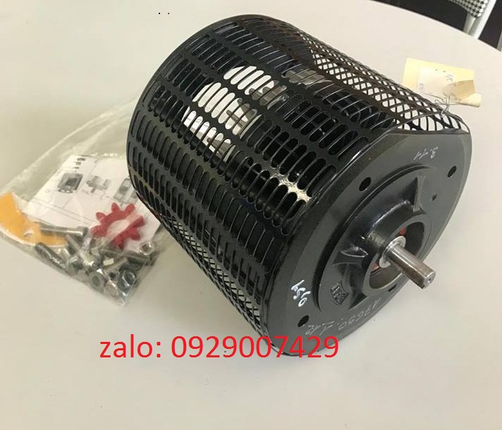 Khớp điện từ tang cáp điện đầu cần REF, 450N015-001