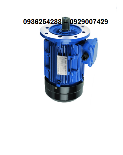 Động cơ cánh lật Y3-90S-4