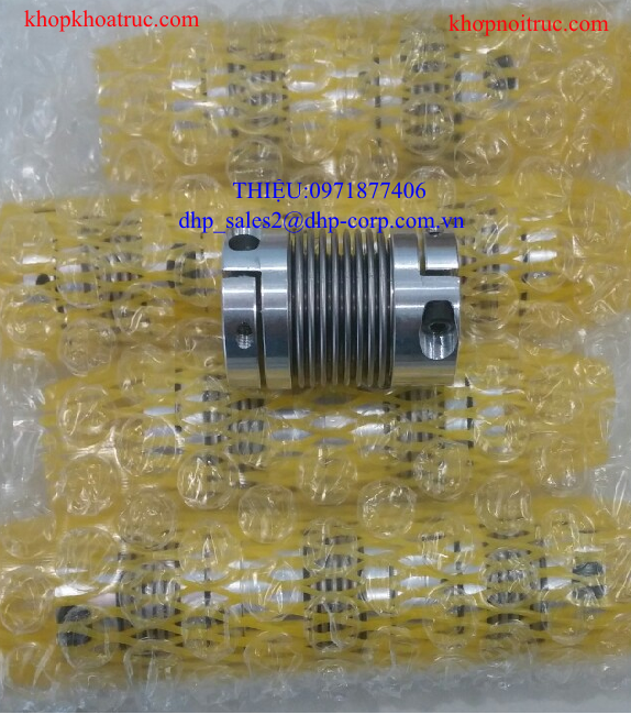 Khớp nối lò xo Gerwah DKN