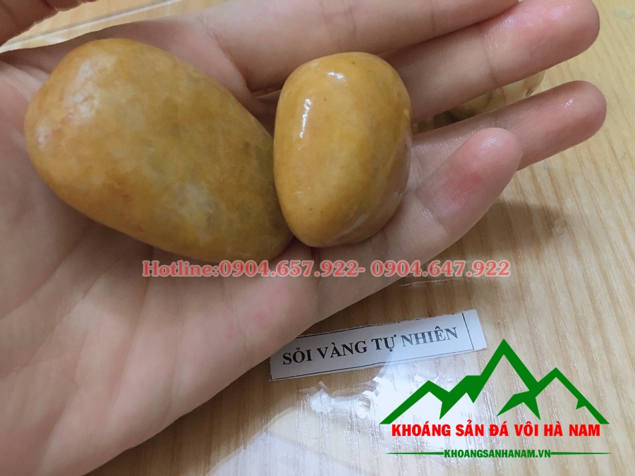 Sỏi tự nhiên màu vàng