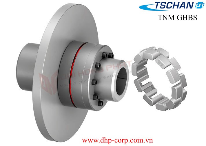 Khớp nối TSCHAN TNM GHBS