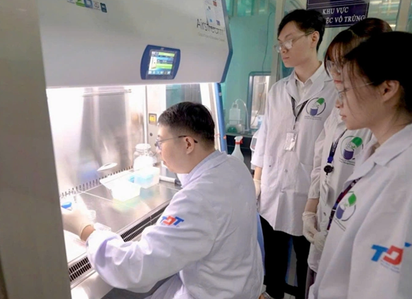 Phát hiện tình cờ mở ra hướng phát triển vật liệu nano hỗ trợ điều trị ung thư