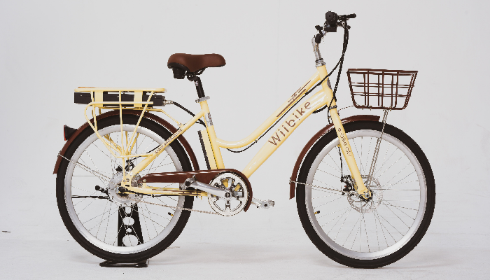 Công ty cổ phần công nghệ Wiibike Việt Nam