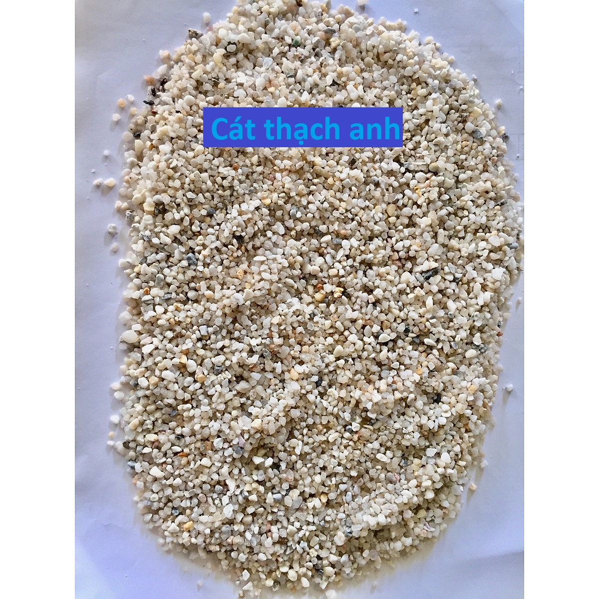Công ty cổ phần vôi Miền Bắc