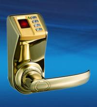 Khóa cửa vân tay ADEL DIY 3398 RR