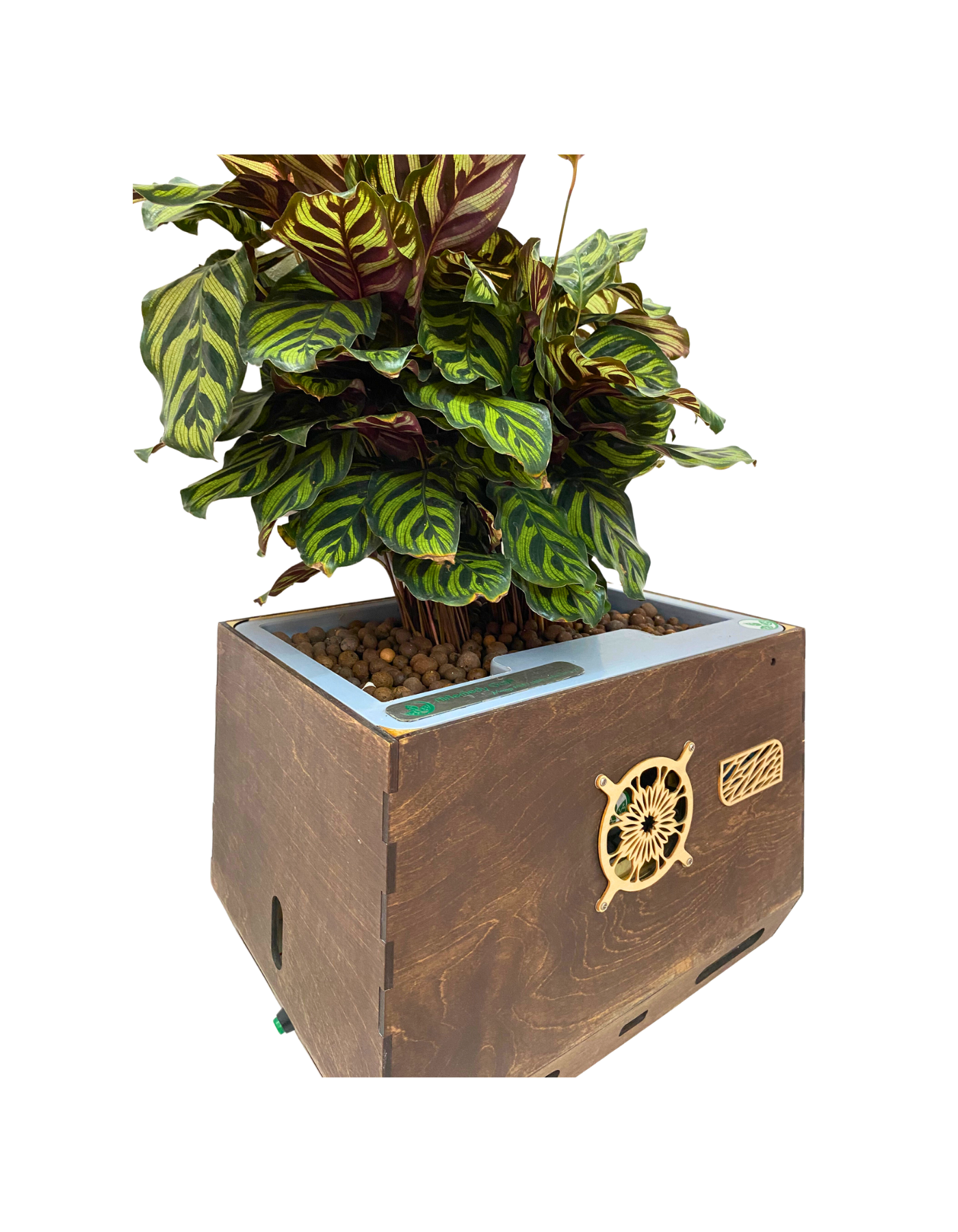 Công ty cổ phần TreeOtek