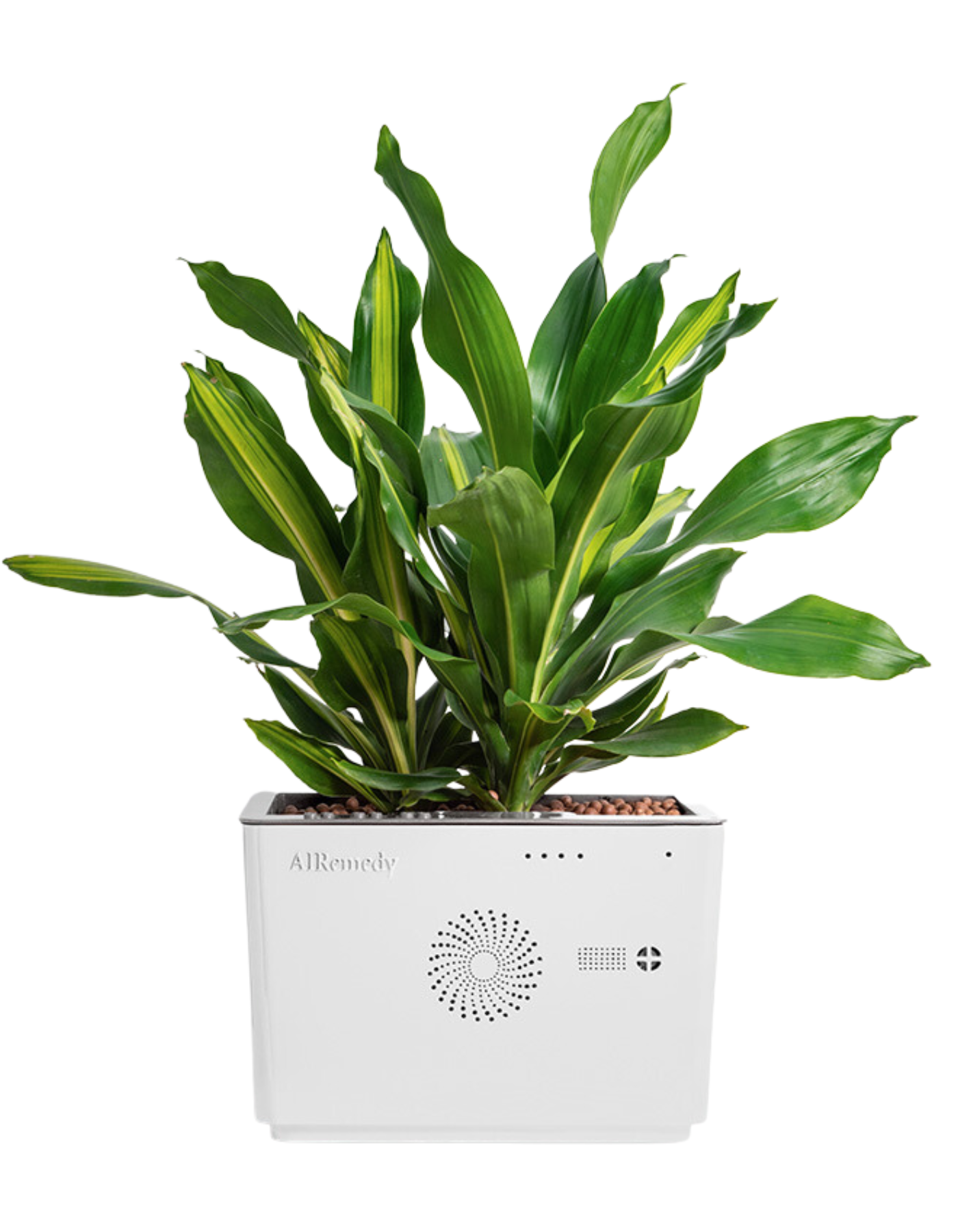 Công ty cổ phần TreeOtek