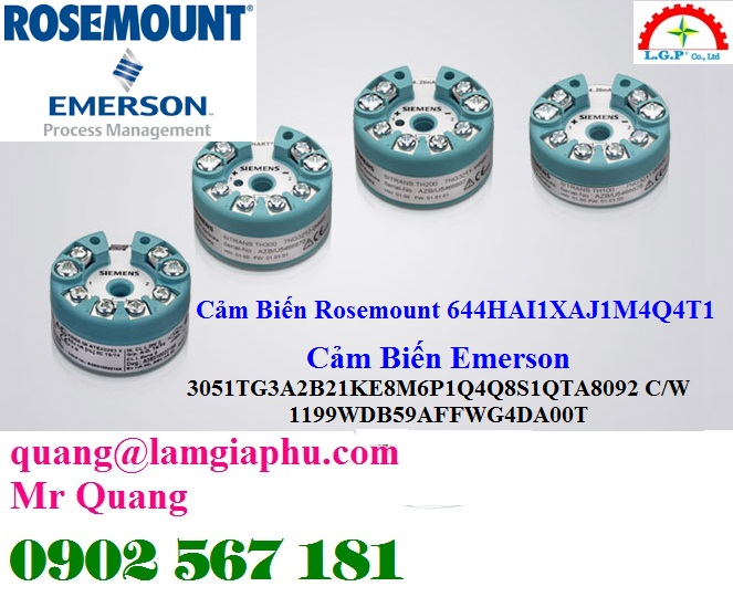 Cảm biến Rosemount