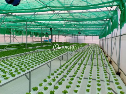 	 Công ty cổ phần công nghệ cao Hachi Việt Nam