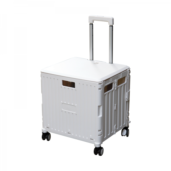 Công ty cổ phần phân phối và hỗ trợ dự án Thời Đại Mới