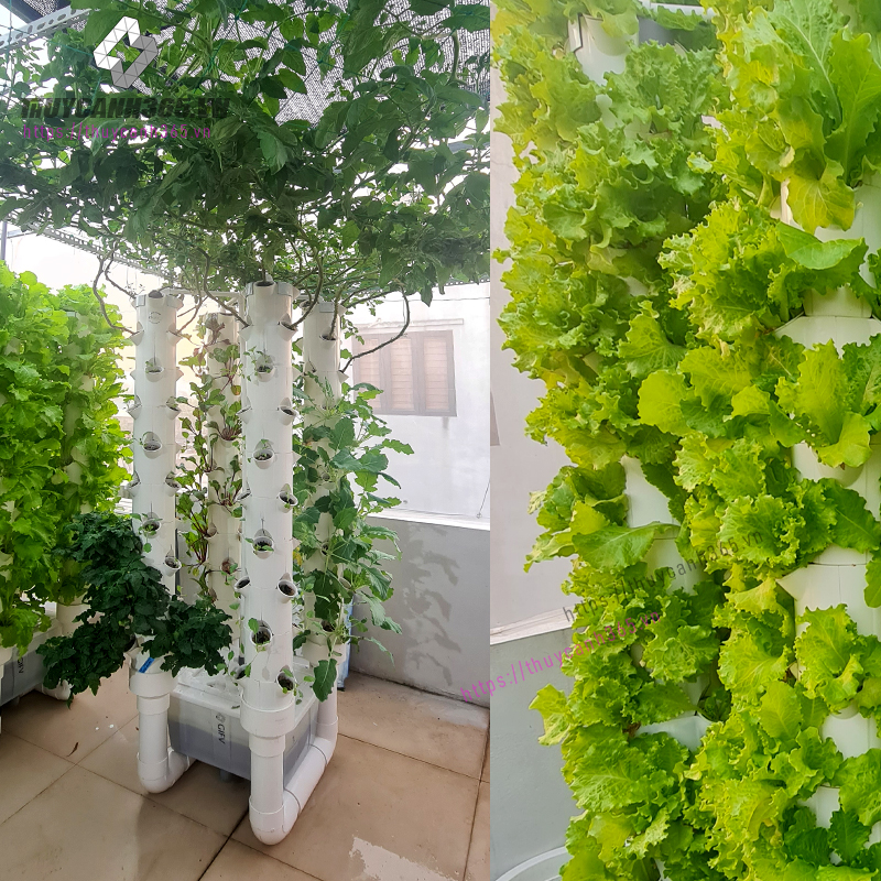 Hệ thống thuỷ canh trụ đứng