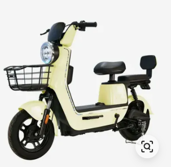 Xe đạp điện giá rẻ cho người lớn model 13