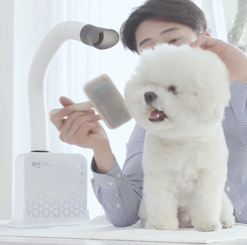 Thiết bị sấy duz V2 Hands-Free Pet Dryer