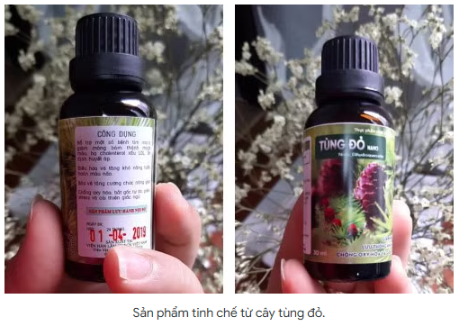 Nguyên liệu Nano Dihydroquercetin (Tùng Đỏ) dạng Gel lỏng (YDU111)