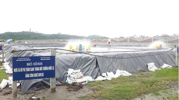 Nuôi cá rô phi bằng công nghệ biofloc trong môi trường nước lợ (THS046)