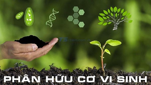 Công nghệ Hóa sinh Hudavil sản xuất các loại phân bón hữu cơ vi sinh từ các nguồn chất thải, phế phụ phẩm trong nông nghiệp; bùn thải các hồ sinh học, hồ ao nuôi trồng thủy sản quy mô công nghiệp (TTR062)