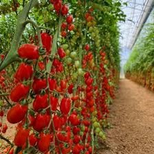 Công ty Công nghệ Nông nghiệp Etza