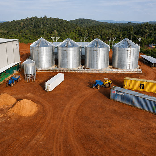 Hệ thống chăn nuôi gia cầm Agrotop