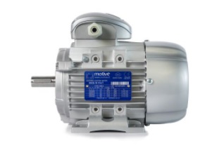 Động cơ điện ba pha phòng chống cháy nổ ATEX – Xuất xứ MOTIVE Ý