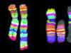 Isis - Multicolor Banding (mBAND)