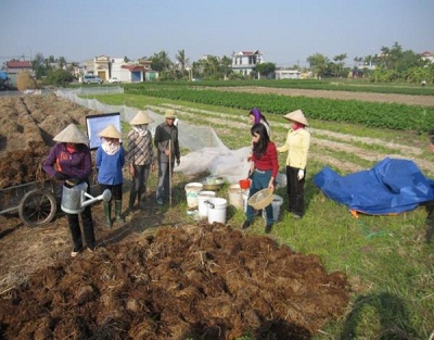 Mô hình sản xuất chế phẩm vi sinh vật Compost maker