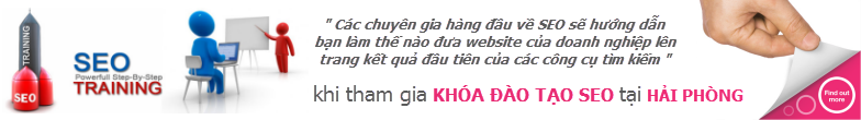 Chương trình đào tạo SEO do các chuyên gia đầu ngành giảng dạy tại Hải Phòng